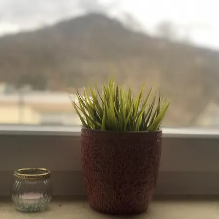 Kuschelige Mit Aussicht Apartment *